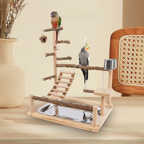 Parrot perch playstand - parrot,