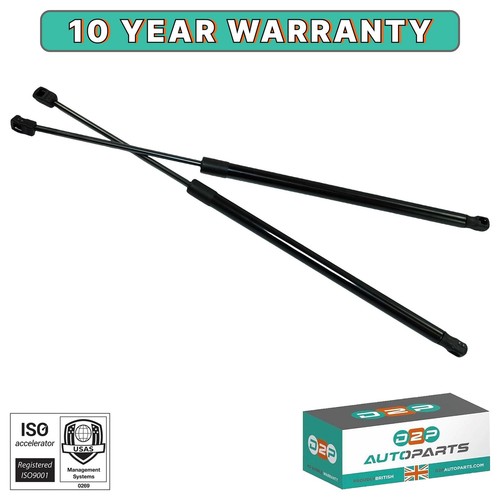 Tailgate boot gas struts - tailgate,