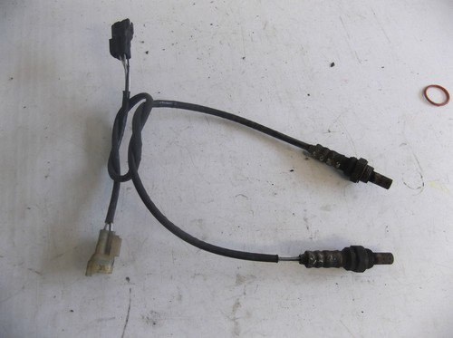 Honda st1300 abs exhaust - honda,