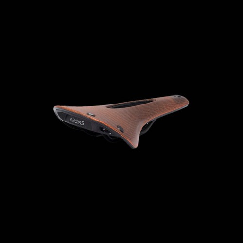 Brooks c17 cambium - brooks, carved