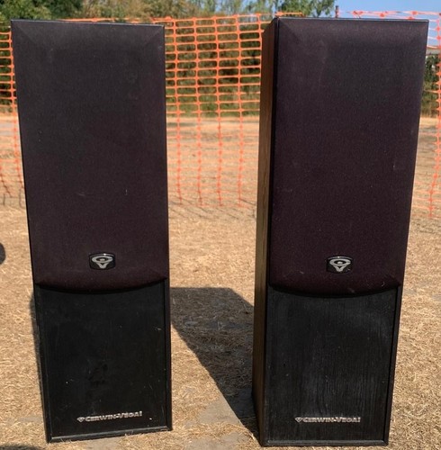 Cerwin vega standing - cerwin-vega,