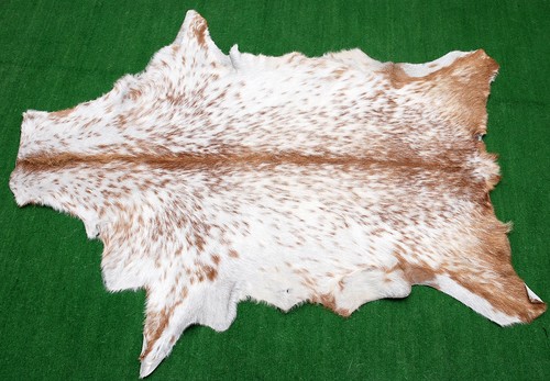 Luxury goat hide - rug, hair