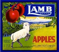 Yakima Washington State Lamb