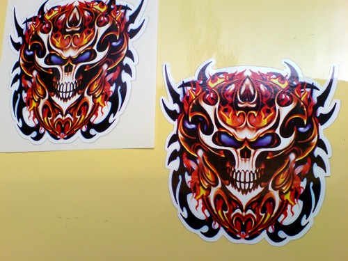 Skull firestorm fairing - firestorm,