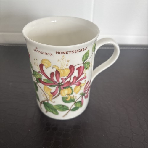Crown trent wild rose rosa - crown,