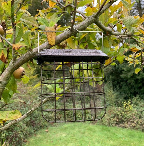 Hanging suet block cake - cake, feeder