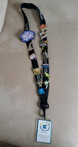 Wdw disney pin - pin, trading