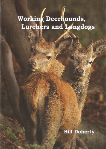 Doherty sporting dogs - sporting, book
