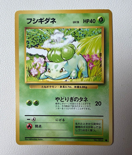 Pokémon tcg japanese - tcg,