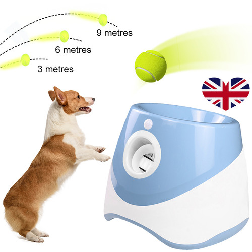 Dog ball throwing - dog,