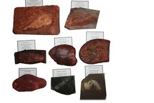 Silurian Devonian Triassic