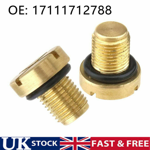 Vent screw brass radiator - vent,