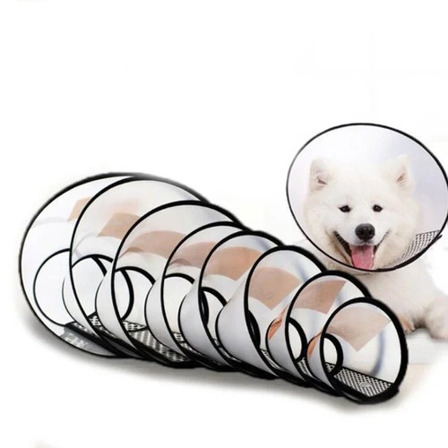 Elizabethan pet protective - pet,