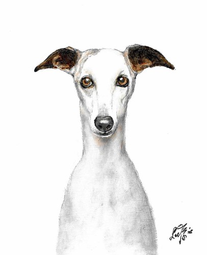 Original oil dog - original, portrait