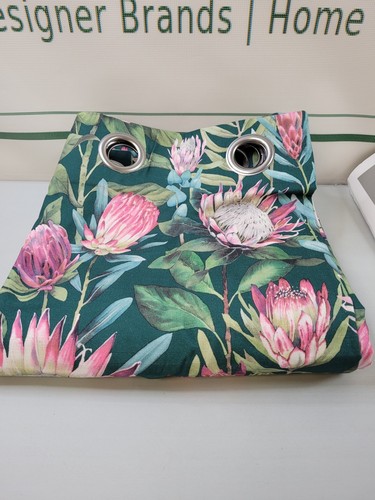Sanderson king protea - king,