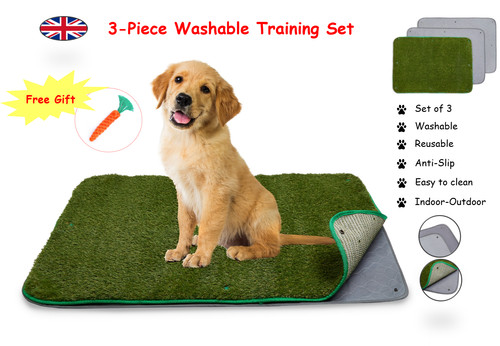 Piece puppy training - puppy,
