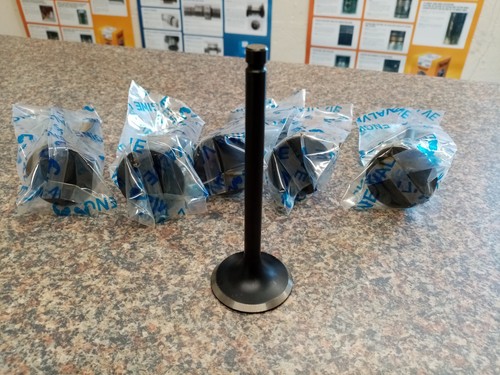 Inlet valve set ford essex - (6),