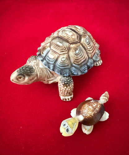 Wade tortoise trinket - wade, box