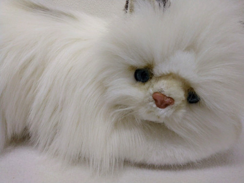 Yomiko realistic himalayan cat - himalayan,