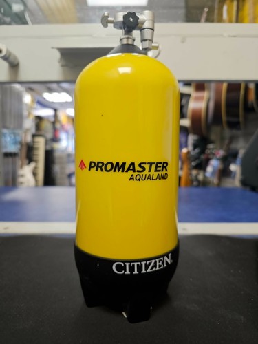 Citizen men promaster - citizen, eco