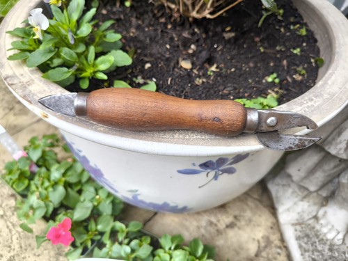 Antique tin can opener - ,