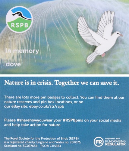 Rspb pin badge special - rspb,