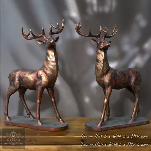Wow set stags - wow,