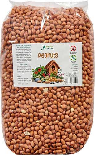 Premium wild bird food - bird,