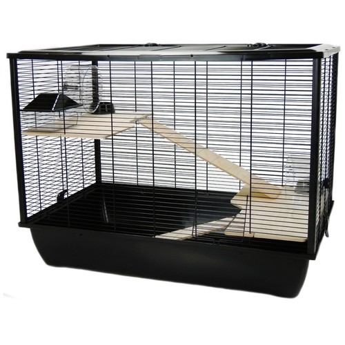 Rat hamster mouse large - rat,