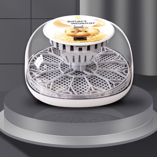 Digital egg incubator - 12-egg,