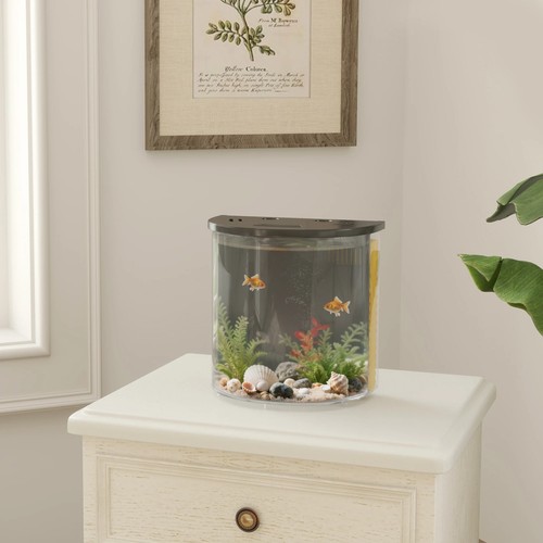Fish tank nano aquarium - fish,
