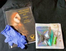 Owl/Kestrel Pellet Dissection