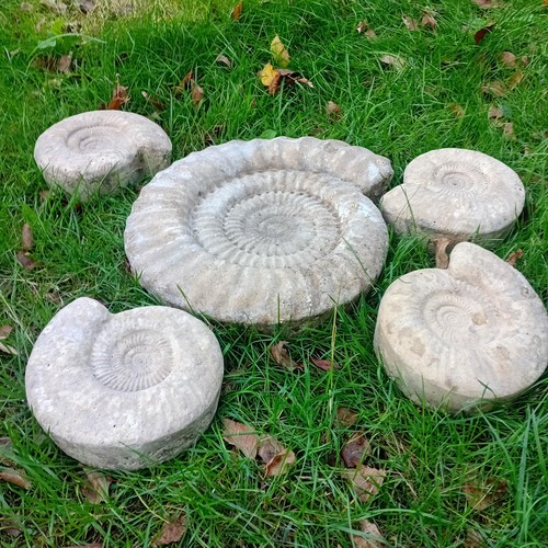 Ammonite garden feature 5 - ammonite,