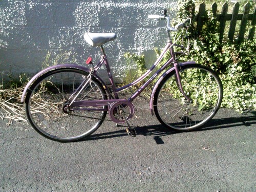 Raleigh caprice dutch - caprice, loop