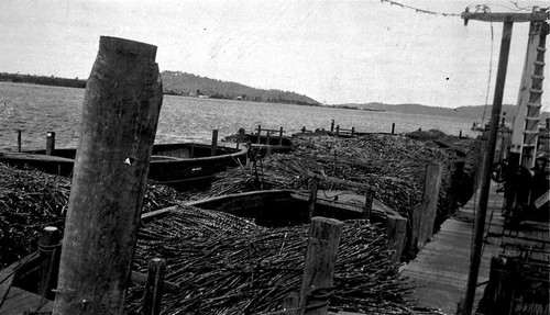 1934 barges lined a pier - 1934, up