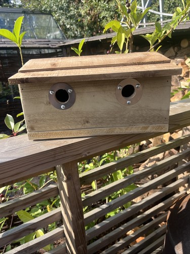 Bird house - house, x2