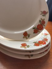 Vintage Romanian Floral Dinner