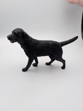 Country Artists Black Labrador