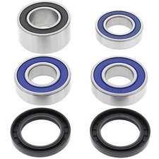 REAR WHEEL BEARINGS WITH