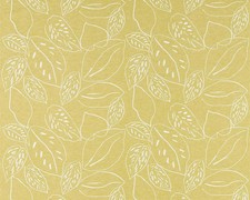 Scion orto lime - orto,