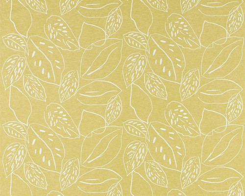 Scion orto lime mustard - orto,