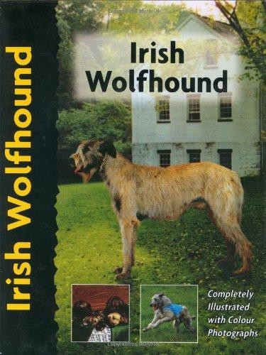 Pet love irish wolfhound - love,