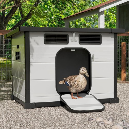 Duck coop for outside - duck,