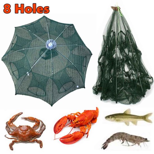 New fishing bait - bait, net