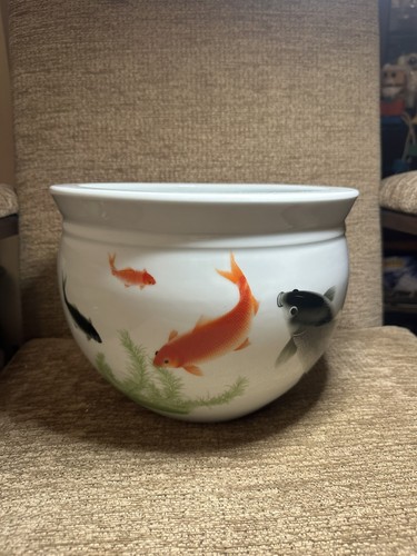 Stunning very rare goldfish - a,