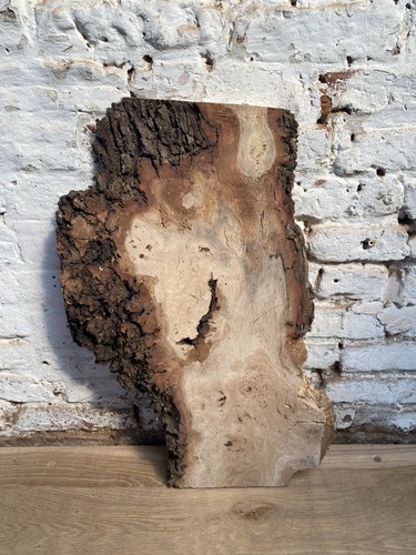 Waney edge live oak - waney,