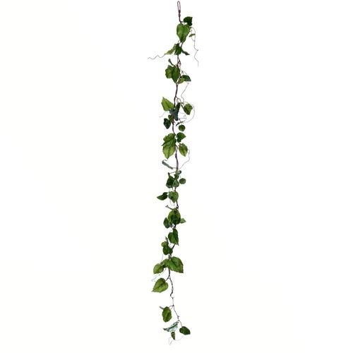Vickerman everyday - vickerman, 56"