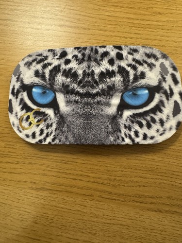 Great gift protective ski - great,
