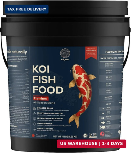 Koi fish food growth - fish,