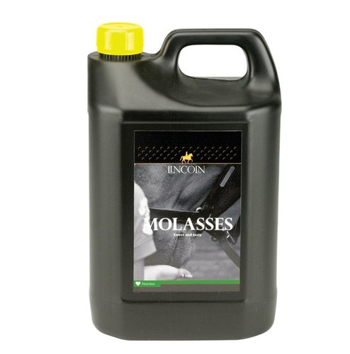 Lincoln molasses horses - |,
